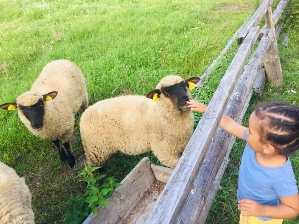 Namelis Nr 1 Adeles Sodyba Sturmai Экстерьер фото